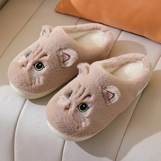 Chaussons animaux | Chat café - Chaussly